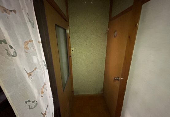 庭が生い茂った古い戸建ての外観