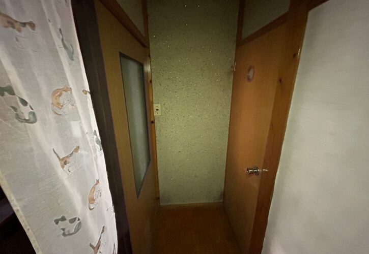 庭が生い茂った古い戸建ての外観